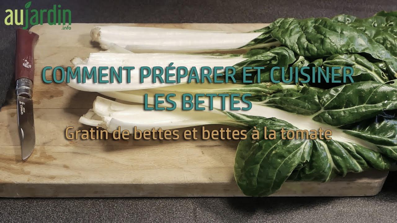 Guide ultime pour cuisiner les blettes : recettes et astuces pour des plats savoureux